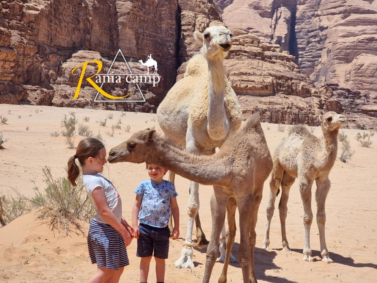 Wadi Rum,Rania Camp Exterior photo