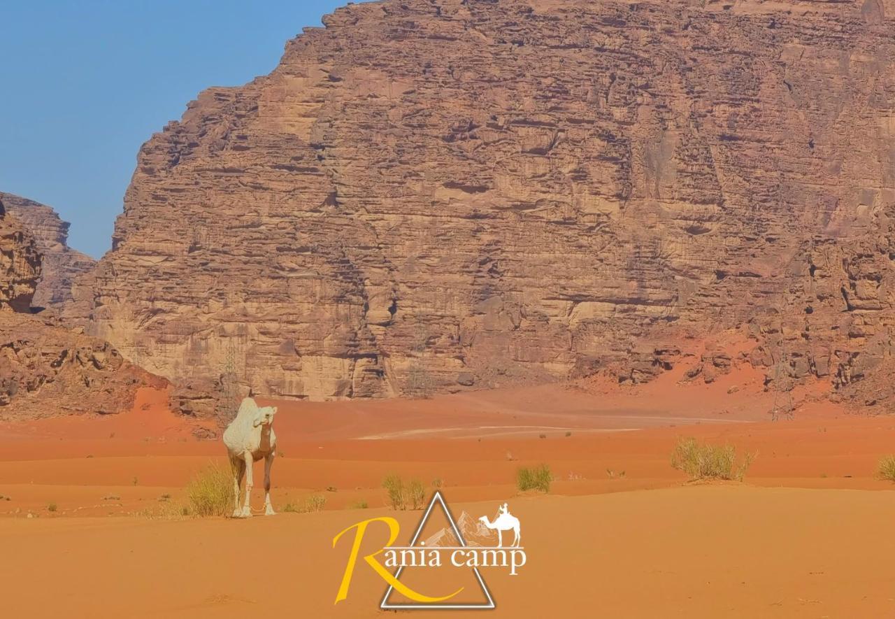 Wadi Rum,Rania Camp Exterior photo