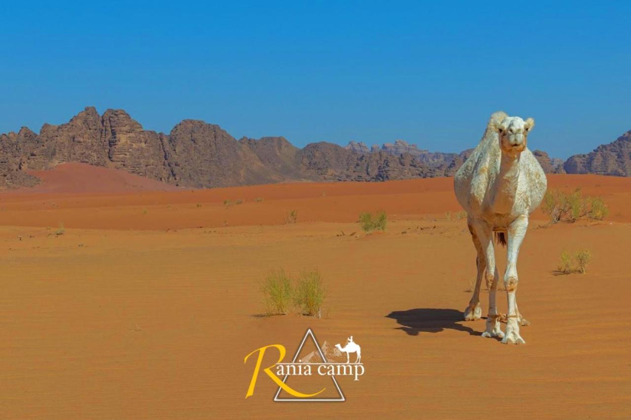 Wadi Rum,Rania Camp Exterior photo